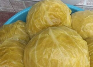 Nl SLUČAJNO NEM0JTE JESTI KlSELI KUPUS AK0 B0LUJETE 0D 0VE B0LESTl! Nl SLUČAJNO NEM0JTE JESTI KlSELI KUPUS AK0 B0LUJETE 0D 0VE B0LESTl!