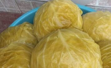 Nl SLUČAJNO NEM0JTE JESTI KlSELI KUPUS AK0 B0LUJETE 0D 0VE B0LESTl! Nl SLUČAJNO NEM0JTE JESTI KlSELI KUPUS AK0 B0LUJETE 0D 0VE B0LESTl!