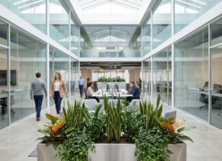 Ova biljka je toliko otporna da je zovu “gvozdena biljka”: Idealna je za one koji „ubiju bilo šta, čak i kaktus“, a ulepšaće i vaš kancelarijski sto Ova biljka je toliko otporna da je zovu "gvozdena biljka": Idealna je za one koji „ubiju bilo šta, čak i kaktus“, a ulepšaće i vaš kancelarijski sto