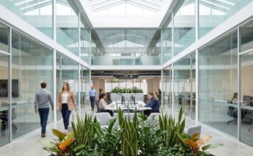 Ova biljka je toliko otporna da je zovu “gvozdena biljka”: Idealna je za one koji „ubiju bilo šta, čak i kaktus“, a ulepšaće i vaš kancelarijski sto Ova biljka je toliko otporna da je zovu "gvozdena biljka": Idealna je za one koji „ubiju bilo šta, čak i kaktus“, a ulepšaće i vaš kancelarijski sto