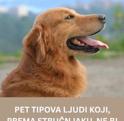 Pet tipova ljudi koji, prema stručnjaku, ne bi trebalo da imaju psa Pet tipova ljudi koji, prema stručnjaku, ne bi trebalo da imaju psa