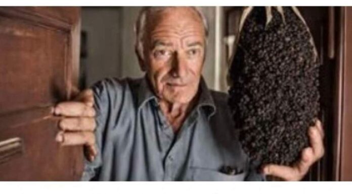 Pospite papar ispred svojih vrata, EVO ZAŠTO biti ćete mi zauvijek zahvalni! Pospite papar ispred svojih vrata, EVO ZAŠTO biti ćete mi zauvijek zahvalni!