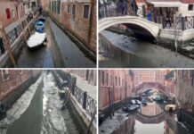 Prve slike Milice Todorović nakon porođaja: Zakamuflirana ispred zgrade šeta psa, evo kako izgleda Prve slike Milice Todorović nakon porođaja: Zakamuflirana ispred zgrade šeta psa, evo kako izgleda