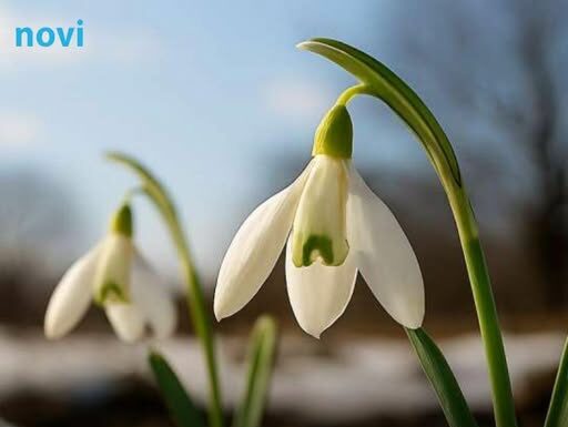 Prvo džemre ‘udara’ u zrak 19. februara: Evo šta to znači Prvo džemre ‘udara’ u zrak 19. februara: Evo šta to znači