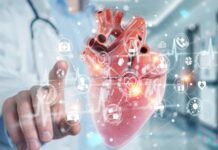 Slušajte svoje telo: Malo “lenčarenja” može da spasi srce, a nauka ima dokaze za to Slušajte svoje telo: Malo “lenčarenja” može da spasi srce, a nauka ima dokaze za to