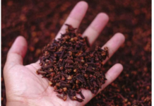 Stavite karanfilić večeras na vrata kupatila: Preko noći riješit ćete problem koji vas godinama muči Stavite karanfilić večeras na vrata kupatila: Preko noći riješit ćete problem koji vas godinama muči