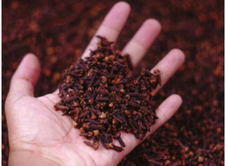 Stavite karanfilić večeras na vrata kupatila: Preko noći riješit ćete problem koji vas godinama muči Stavite karanfilić večeras na vrata kupatila: Preko noći riješit ćete problem koji vas godinama muči