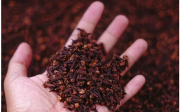 Stavite karanfilić večeras na vrata kupatila: Preko noći riješit ćete problem koji vas godinama muči Stavite karanfilić večeras na vrata kupatila: Preko noći riješit ćete problem koji vas godinama muči