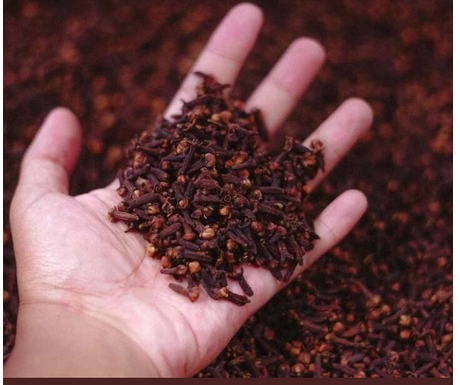 Stavite karanfilić večeras na vrata kupatila: Preko noći riješit ćete problem koji vas godinama muči Stavite karanfilić večeras na vrata kupatila: Preko noći riješit ćete problem koji vas godinama muči