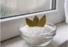 Stavite so i 3 lista lovora u svaku sobu i gledajte kako nestaje problem koji muči svako domaćinstvo Stavite so i 3 lista lovora u svaku sobu i gledajte kako nestaje problem koji muči svako domaćinstvo