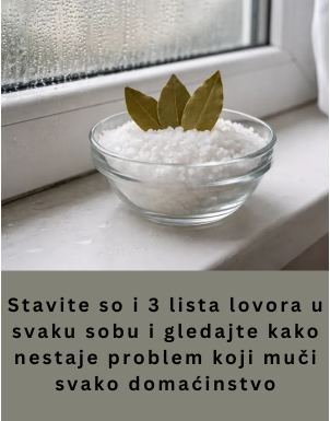 Stavite so i 3 lista lovora u svaku sobu i gledajte kako nestaje problem koji muči svako domaćinstvo Stavite so i 3 lista lovora u svaku sobu i gledajte kako nestaje problem koji muči svako domaćinstvo