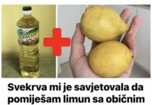 Svekrva mi je savjetovala da pomiješam limun sa običnim uljem: To je savršen kućni TRIK, koristim ga svaki dan! Svekrva mi je savjetovala da pomiješam limun sa običnim uljem: To je savršen kućni TRIK, koristim ga svaki dan!