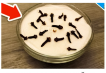 SVI ME PITAJU ZAŠTO U MOJOJ KUĆI TAKO LIJEPO MIRIŠE: Ovo je trik koji koristim, samo 2 sastojka – A KUĆA MIRIŠE DANIMA SVI ME PITAJU ZAŠTO U MOJOJ KUĆI TAKO LIJEPO MIRIŠE: Ovo je trik koji koristim, samo 2 sastojka – A KUĆA MIRIŠE DANIMA