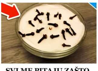 SVI ME PITAJU ZAŠTO U MOJOJ KUĆI TAKO LIJEPO MIRIŠE: Ovo je trik koji koristim, samo 2 sastojka – A KUĆA MIRIŠE DANIMA SVI ME PITAJU ZAŠTO U MOJOJ KUĆI TAKO LIJEPO MIRIŠE: Ovo je trik koji koristim, samo 2 sastojka – A KUĆA MIRIŠE DANIMA