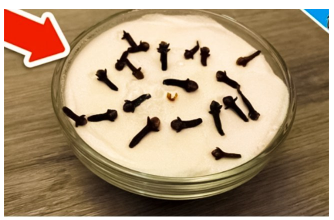 SVI ME PITAJU ZAŠTO U MOJOJ KUĆI TAKO LIJEPO MIRIŠE: Ovo je trik koji koristim, samo 2 sastojka – A KUĆA MIRIŠE DANIMA SVI ME PITAJU ZAŠTO U MOJOJ KUĆI TAKO LIJEPO MIRIŠE: Ovo je trik koji koristim, samo 2 sastojka – A KUĆA MIRIŠE DANIMA