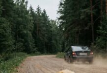 Tri dana kasnije, pas se vratio Tri dana kasnije, pas se vratio