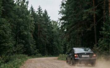 Tri dana kasnije, pas se vratio Tri dana kasnije, pas se vratio