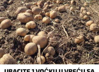 UBACITE 1 VOĆKU U VREĆU SA KROMPIROM I SPREČIĆETE KLIJANJE: Malo ko je znao da se u tome krije TRIK UBACITE 1 VOĆKU U VREĆU SA KROMPIROM I SPREČIĆETE KLIJANJE: Malo ko je znao da se u tome krije TRIK