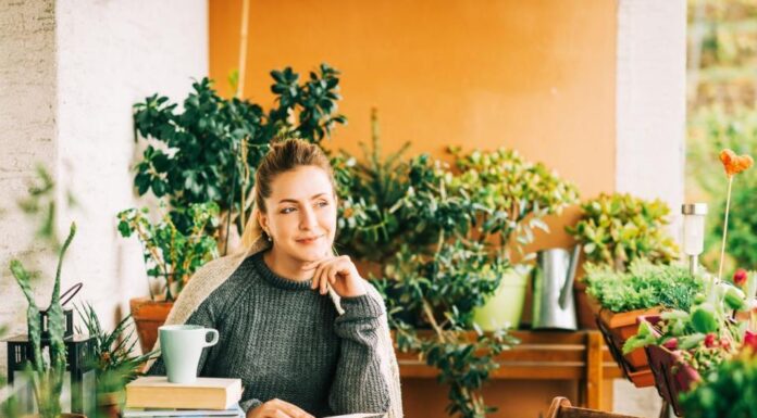 Uz ovaj jednostavan trik iskusnih baštovana transformisaćete slabašne izdanke u bujne i zdrave biljke Uz ovaj jednostavan trik iskusnih baštovana transformisaćete slabašne izdanke u bujne i zdrave biljke