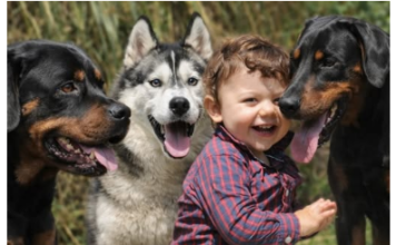 Veterinar objasnio da 5 rasa pasa nipošto ne treba držati blizu dece: Njima ne treba verovati Veterinar objasnio da 5 rasa pasa nipošto ne treba držati blizu dece: Njima ne treba verovati