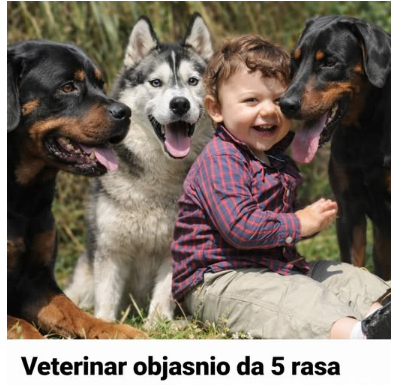 Veterinar objasnio da 5 rasa pasa nipošto ne treba držati blizu dece: Njima ne treba verovati Veterinar objasnio da 5 rasa pasa nipošto ne treba držati blizu dece: Njima ne treba verovati