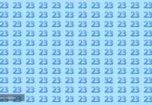 Viralna mozgalica: Svi vide broj 23, ali jedan uljez se sakrio – imate 15 sekundi da ga nađete Viralna mozgalica: Svi vide broj 23, ali jedan uljez se sakrio – imate 15 sekundi da ga nađete