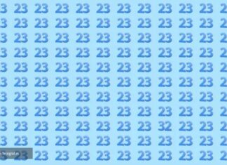 Viralna mozgalica: Svi vide broj 23, ali jedan uljez se sakrio – imate 15 sekundi da ga nađete Viralna mozgalica: Svi vide broj 23, ali jedan uljez se sakrio – imate 15 sekundi da ga nađete