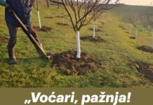 „Voćari, pažnja! Radovi u februaru koji izravno određuju kvalitetu plodova.” „Voćari, pažnja! Radovi u februaru koji izravno određuju kvalitetu plodova.”