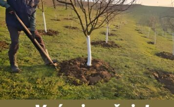 „Voćari, pažnja! Radovi u februaru koji izravno određuju kvalitetu plodova.” „Voćari, pažnja! Radovi u februaru koji izravno određuju kvalitetu plodova.”