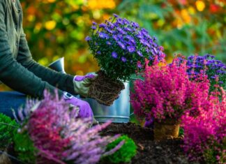 Vodič korak po korak kako da oživljavite vaše bašte u proleće Vodič korak po korak kako da oživljavite vaše bašte u proleće