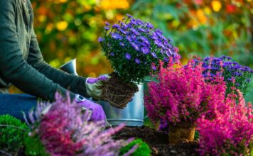 Vodič korak po korak kako da oživljavite vaše bašte u proleće Vodič korak po korak kako da oživljavite vaše bašte u proleće