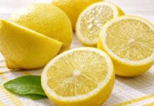 Zašto LIMUN treba NOĆU staviti u spavaću sobu? STARINSKI TRIK NAŠIH BAKA koji će vas raspametiti – za ovo sigurno niste znali Zašto LIMUN treba NOĆU staviti u spavaću sobu? STARINSKI TRIK NAŠIH BAKA koji će vas raspametiti – za ovo sigurno niste znali