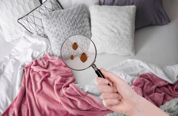 12 najgorih mesta za razmnožavanje bakterija u kući: Mnogi nisu ni svesni da su leglo zaraze 12 najgorih mesta za razmnožavanje bakterija u kući: Mnogi nisu ni svesni da su leglo zaraze