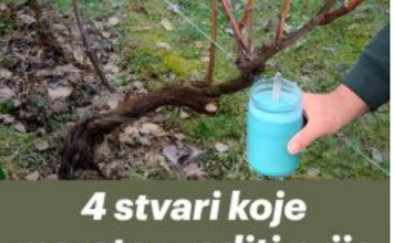 4 stvari koje morate uraditi prije nego što se loza probudi – za bogatu berbu 4 stvari koje morate uraditi prije nego što se loza probudi – za bogatu berbu