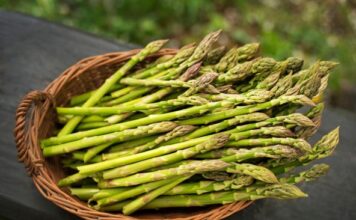 7 jednostavnih načina da obnovite zdravlje creva: Posle nedelju dana radiće kao sat 7 jednostavnih načina da obnovite zdravlje creva: Posle nedelju dana radiće kao sat