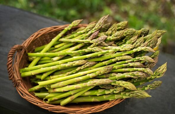 7 jednostavnih načina da obnovite zdravlje creva: Posle nedelju dana radiće kao sat 7 jednostavnih načina da obnovite zdravlje creva: Posle nedelju dana radiće kao sat