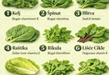9 najboljih lisnatih zelenih povrća koje prirodno sprječavaju stvaranje krvnih ugrušaka🌿🥝 | Hrana bogata vitaminom K