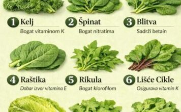 9 najboljih lisnatih zelenih povrća koje prirodno sprječavaju stvaranje krvnih ugrušaka🌿🥝 | Hrana bogata vitaminom K