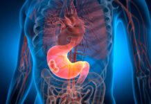 “Ako svako jutro uradite ove 3 stvari – Vaša žučna kesa će raditi kao sat”: Tvrde stručnjaci "Ako svako jutro uradite ove 3 stvari - Vaša žučna kesa će raditi kao sat": Tvrde stručnjaci