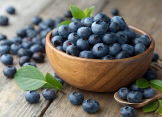Borovnice čuvaju creva, mozak i srce: Evo zašto bi trebalo da ih jedete svaki dan Borovnice čuvaju creva, mozak i srce: Evo zašto bi trebalo da ih jedete svaki dan