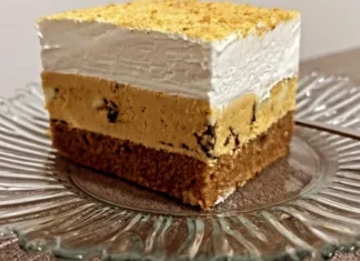 Čokoladno–Plazma Kolač sa Narančom Čokoladno–Plazma Kolač sa Narančom