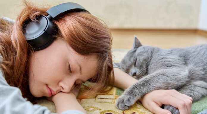 Da li mačke stvarno oslobađaju stresa Da li mačke stvarno oslobađaju stresa