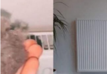 EVO KAKO DA OČISTITE RADIJATORE ZA MINUTU: Bolju foru niste vidjeli, kako se niko ranije nije sjeo ovoga! EVO KAKO DA OČISTITE RADIJATORE ZA MINUTU: Bolju foru niste vidjeli, kako se niko ranije nije sjeo ovoga!