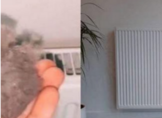 EVO KAKO DA OČISTITE RADIJATORE ZA MINUTU: Bolju foru niste vidjeli, kako se niko ranije nije sjeo ovoga! EVO KAKO DA OČISTITE RADIJATORE ZA MINUTU: Bolju foru niste vidjeli, kako se niko ranije nije sjeo ovoga!