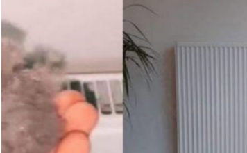 EVO KAKO DA OČISTITE RADIJATORE ZA MINUTU: Bolju foru niste vidjeli, kako se niko ranije nije sjeo ovoga! EVO KAKO DA OČISTITE RADIJATORE ZA MINUTU: Bolju foru niste vidjeli, kako se niko ranije nije sjeo ovoga!