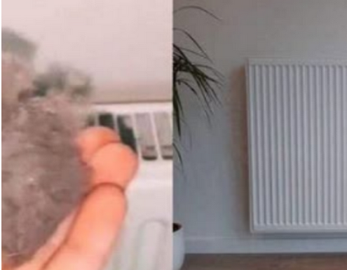 EVO KAKO DA OČISTITE RADIJATORE ZA MINUTU: Bolju foru niste vidjeli, kako se niko ranije nije sjeo ovoga! EVO KAKO DA OČISTITE RADIJATORE ZA MINUTU: Bolju foru niste vidjeli, kako se niko ranije nije sjeo ovoga!