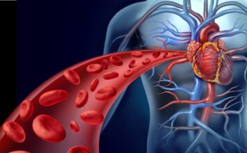 Evo zašto vam se gvožđe ne zadržava u organizmu: Dr Svetlana Stanišić detaljno sve objasnila i otkrila koji je najbolji način provere njegove količine Evo zašto vam se gvožđe ne zadržava u organizmu: Dr Svetlana Stanišić detaljno sve objasnila i otkrila koji je najbolji način provere njegove količine