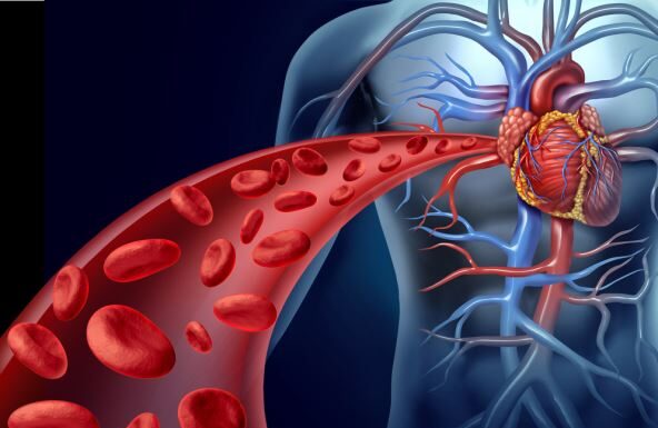 Evo zašto vam se gvožđe ne zadržava u organizmu: Dr Svetlana Stanišić detaljno sve objasnila i otkrila koji je najbolji način provere njegove količine Evo zašto vam se gvožđe ne zadržava u organizmu: Dr Svetlana Stanišić detaljno sve objasnila i otkrila koji je najbolji način provere njegove količine