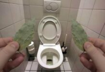 Evo zbog čega sam stavio lovorov list u WC: IZNENADIT ĆETE SE! Evo zbog čega sam stavio lovorov list u WC: IZNENADIT ĆETE SE!