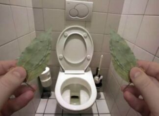 Evo zbog čega sam stavio lovorov list u WC: IZNENADIT ĆETE SE! Evo zbog čega sam stavio lovorov list u WC: IZNENADIT ĆETE SE!